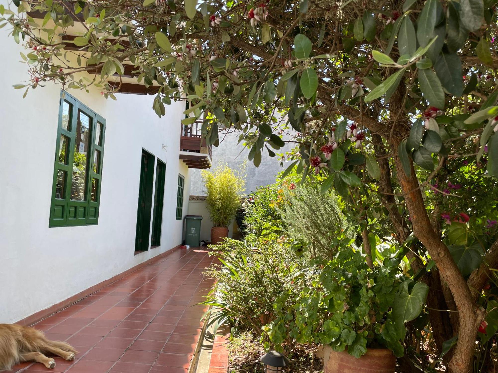 Hostal El Pino 비야 데 레이바 외부 사진